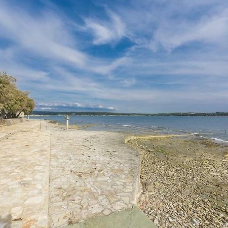 Apartment Lion Novigrad  Zewnętrze zdjęcie