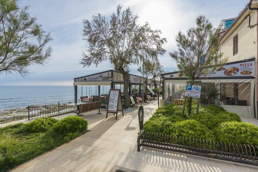 Apartment Lion Novigrad  Zewnętrze zdjęcie